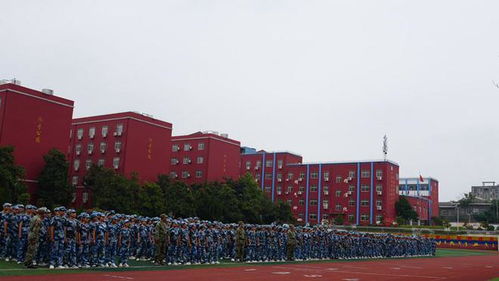 炙曬烈日磨意志 颯爽英姿展風采 潢川縣行知高中2024級高一新生軍訓匯演