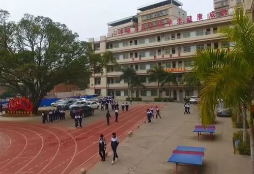 特色校園 龍川縣新城初級中學創建孝德特色校園文化 教育引導學生成長成才