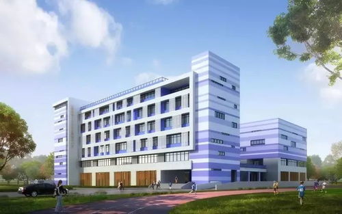 上海五區(qū)傳喜訊 新復(fù)旦系 超牛國際化 你家門口有嗎