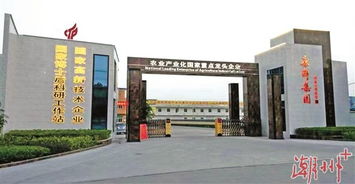 潮安 擦亮食品產(chǎn)業(yè)的金字招牌