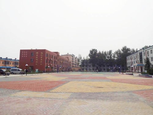 新鄉(xiāng)縣龍泉中學