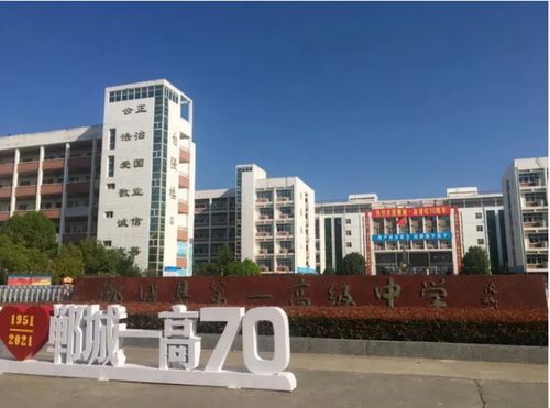 民辦中小學(xué)大規(guī)模停招, 民轉(zhuǎn)公 勢(shì)在必行,在職教師該何去何從