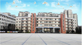 四川省簡(jiǎn)陽(yáng)市高級(jí)職業(yè)中學(xué)圖片 照片