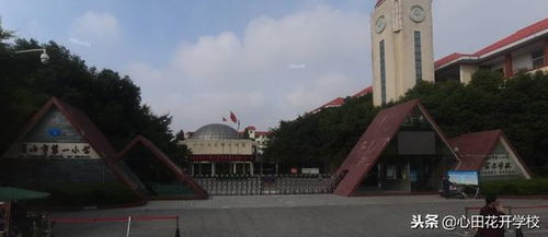 最新出爐 四川省 省級文明校園 先進學校名單公示