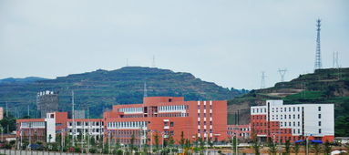 張家川 打造回鄉(xiāng)經濟的升級版